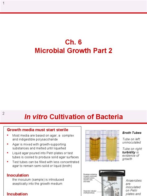 Ch 6 Microbial Growth Part 2 Pdf Growth Medium Bacteria