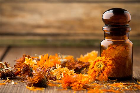 How To Use Calendula Marigold Supplements And Diy Recipes Selfdecode Supplements