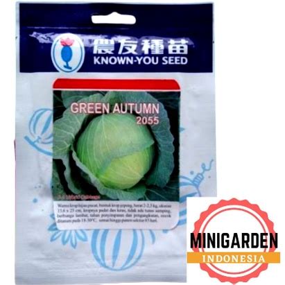 Jual KUBIS HIJAU GREEN AUTUMN 20 GRAM PACK BESAR Benih Biji Bibit Green