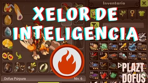 UN XELOR DE INTELIGENCIA BIEN BRUSCO 3500 DE DAÑO DOFUS TOUCH