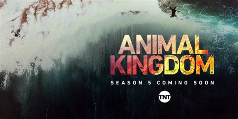 Animal Kingdom Season 6: Release Date, Cast, New Season/Cancelled ...