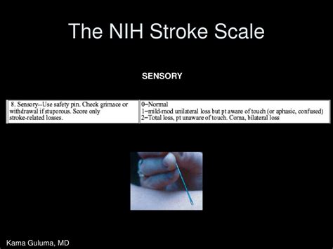 Ppt Stroke Systems And Stroke Scales In The Management Of Acute