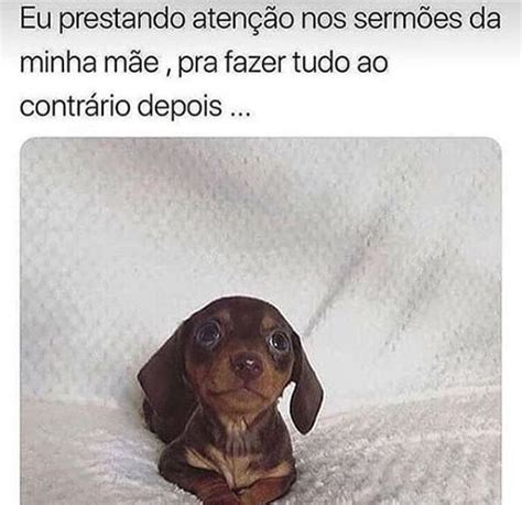 Pin de GΛЯIMPΛ MΣMΣƧ em Humor Ridículo nosso de cada dia Engraçado