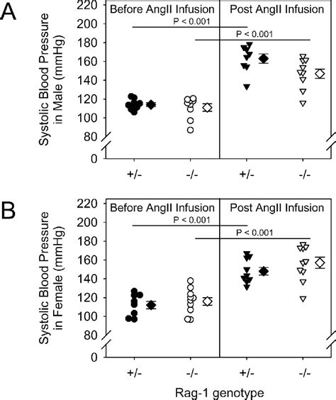 Figure 1 From Total Lymphocyte Deficiency Attenuates AngII Induced