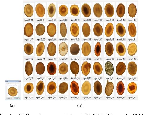 Worm Parasite Identification Chart