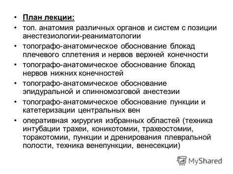 Анестезиология Шефер - circlesrutor