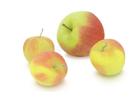 Big And Small Apples Stock Image Image Of Conceptual 17592557