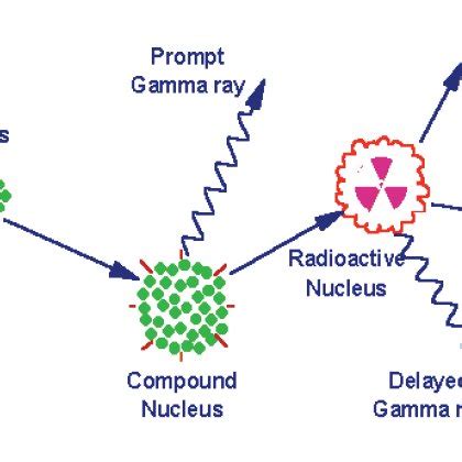 PDF Neutron Activation Analysis An Overview