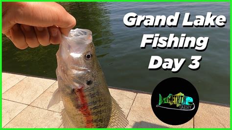 Grand Lake Fishing Catching Quality Crappie On Live Bait Youtube