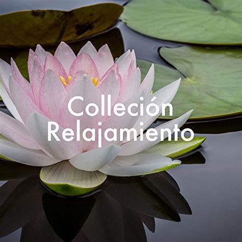 Amazon Colleci N Relajamiento Piano Guitarra Cuencos Tibetanos