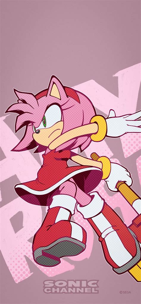 Pin By S O N I C • ソニック On Guardado Rápido Amy Rose Hedgehog Amy