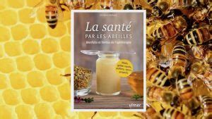 La Sant Par Les Abeilles Bienfaits Et Limites De L Apith Rapie