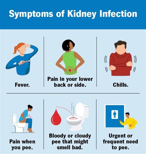 KIDNEY INFECTION : CAUSES , SYMPTOMS & TREATMENT: - Kandikrush Healthcare