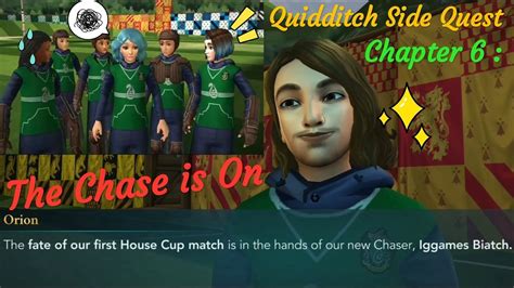 Harry Potter Hogwarts Mystery Quidditch Freeloadswant