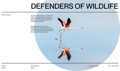 Defenders of Wildlife | corporate redesign :: Behance