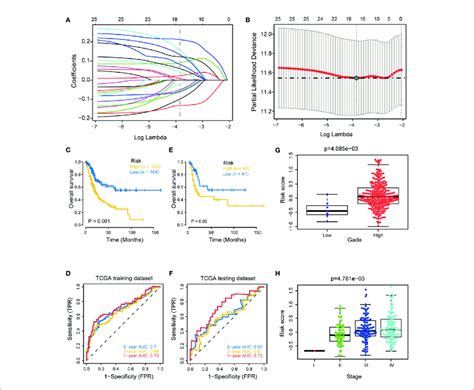 Development And Internal Validation Of A Hypoxia Risk Score In The