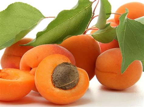 Apricots The Worlds Healthiest Fruit