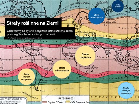 Strefy klimatyczne na Ziemi prezentacja na Geografię by Mikołaj Mocek