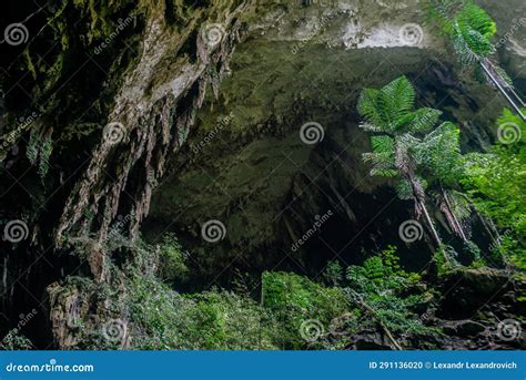 Entrance To Deer Cave At Gunung Mulu National Park Sarawak Stock Photo