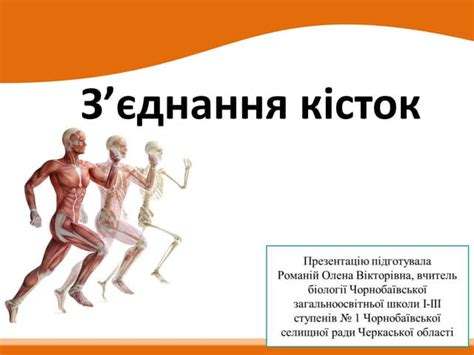 Урок № 11.pptx