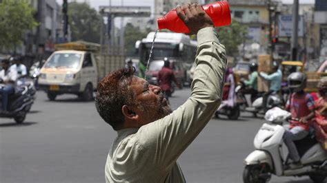 India Proh Be La Exportaci N De Trigo Por Los Azotes Del Calor Y La