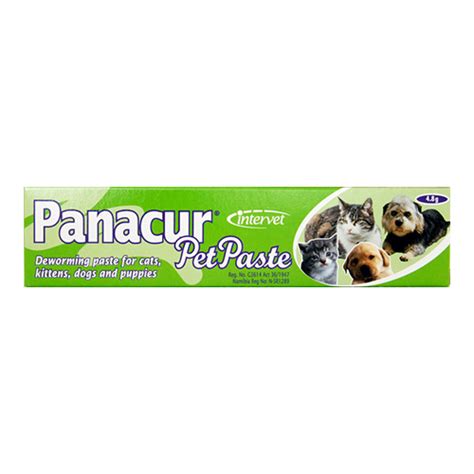 Panacur Pet Paste for Dogs | Buy Intervet Panacur Pet Paste Online in ...