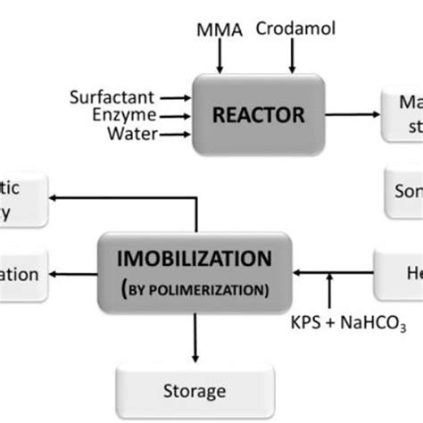 Schematic Procedure For Cellulase Immobilization By Miniemulsion