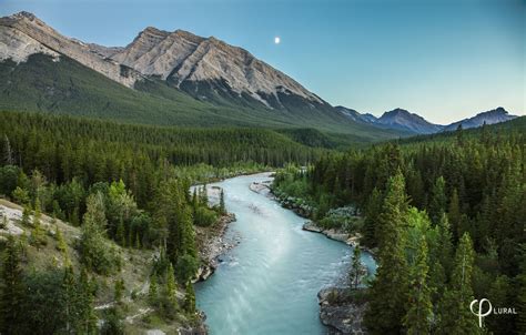 The Cline River Where It Meets Abraham Lake Alberta Canada Around