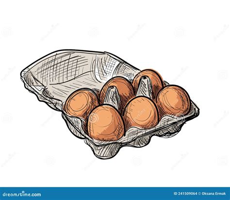 Eggs In Carton Pack Hand Drawn Sketch Icon Cartoon Vector