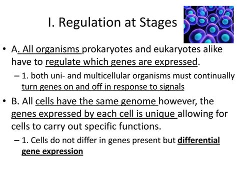 Noncoding Rna Roles In Gene Expression Ppt Download