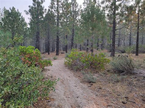 Janesville Singletrack California Gps Trail Map Conditions