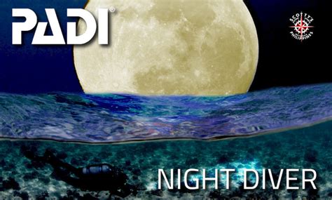 night diver   padi scuba dive  night