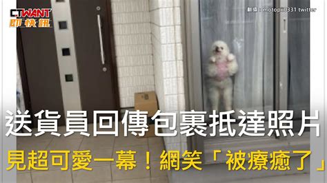 Ctwant 生活趣聞 送貨員回傳包裹抵達照片 見超可愛一幕！網笑「被療癒了」 Youtube