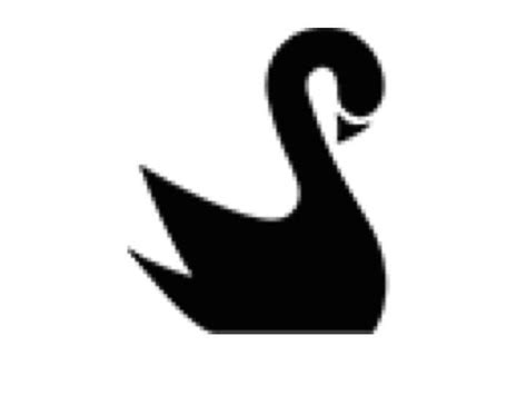 Black Swan Company Logo Logodix