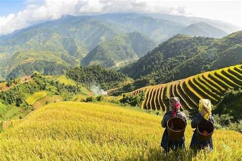 Tripadvisor Sapa Fansipan Peak Tage Nacht Mit Dem Bus Von Hanoi