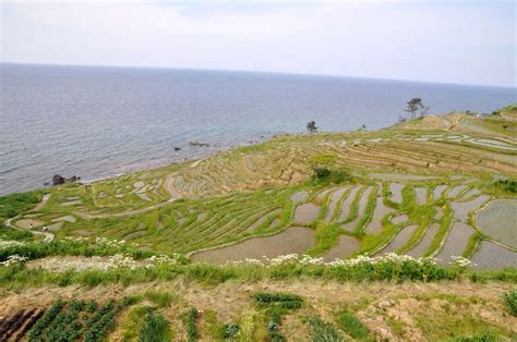 石川・奥能登絶景海道をドライブ！里山里海の絶景と塩グルメ 【楽天トラベル】