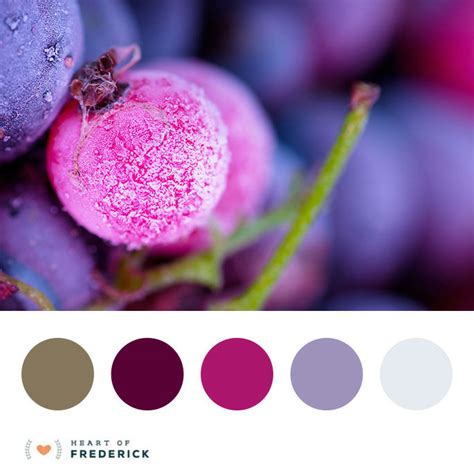 Berry brights | Color Palette – FrederickWeddings.com