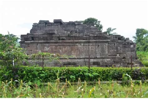 69 Km Dari Malang Ditemukan Candi Dekat Persawahan Di Jawa Timur