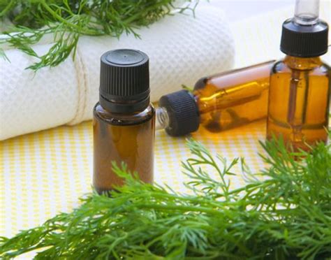 30 Types Of Essential Oils Their Benefits Uses And Side Effects Fitpass