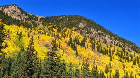 Your ultimate guide for Colorado's fall colors