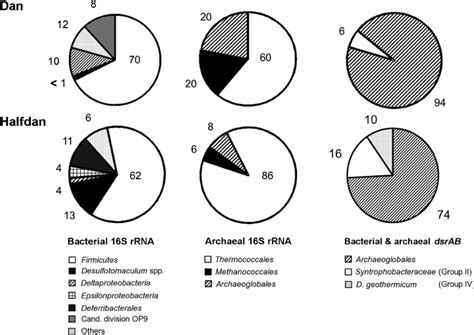 Community Composition Of Bacteria And Archaea From 16S RRNA Gene