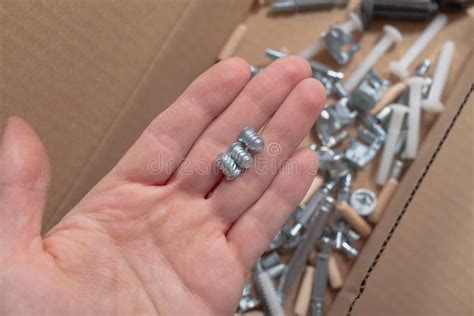 Various Bolts Screws Wooden Dowels Fasteners For Assembling Wooden