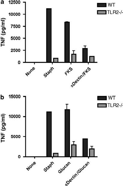 Soluble Dectin 1 Inhibits TNF A Production By Elicited Peritoneal