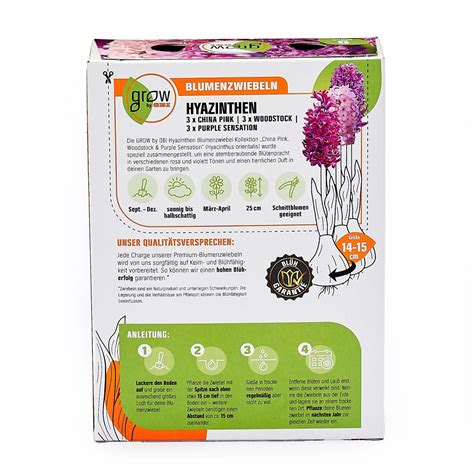 Grow By Obi Hyazinthen Blumenzwiebel Kollektion St Ck Hyacinthus