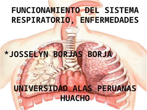 PPTX Enfermedades Del Sistema Respiratorio DOKUMEN TIPS