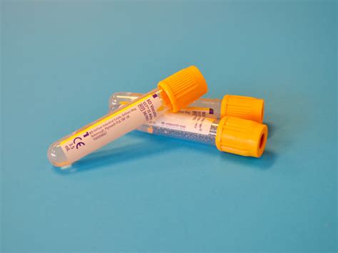 Uncovering the Mystery: What Is Folate in a Blood Test