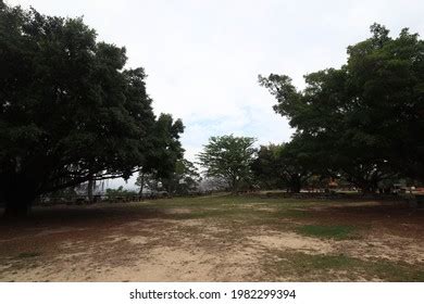 Hong Kong Country Park Barbecue Site Photos And Images Shutterstock