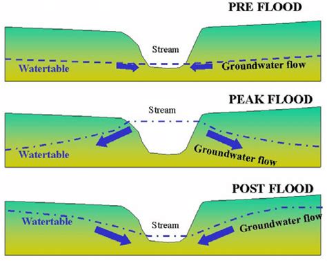 Groundwater Surface Water Interaction In The Current Floodplain Gfs