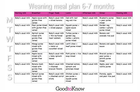 Baby food meal planner: Weaning at 6 - 7 months - goodtoknow