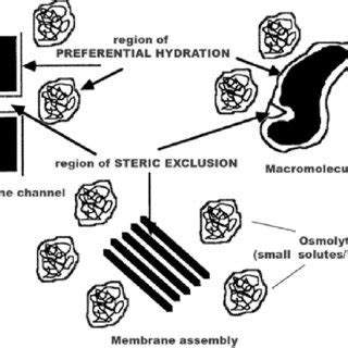 Schematic Representation Of Different Modes Of Physical Modulation By